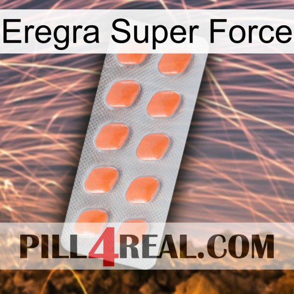 Eregra Super Force 26.jpg